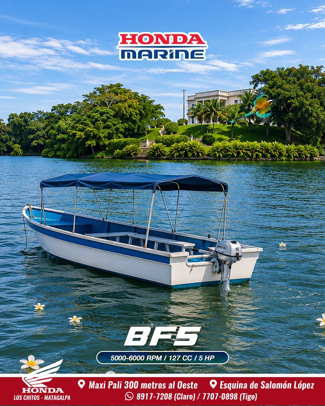 Motor Marino Honda Marine BF5PL